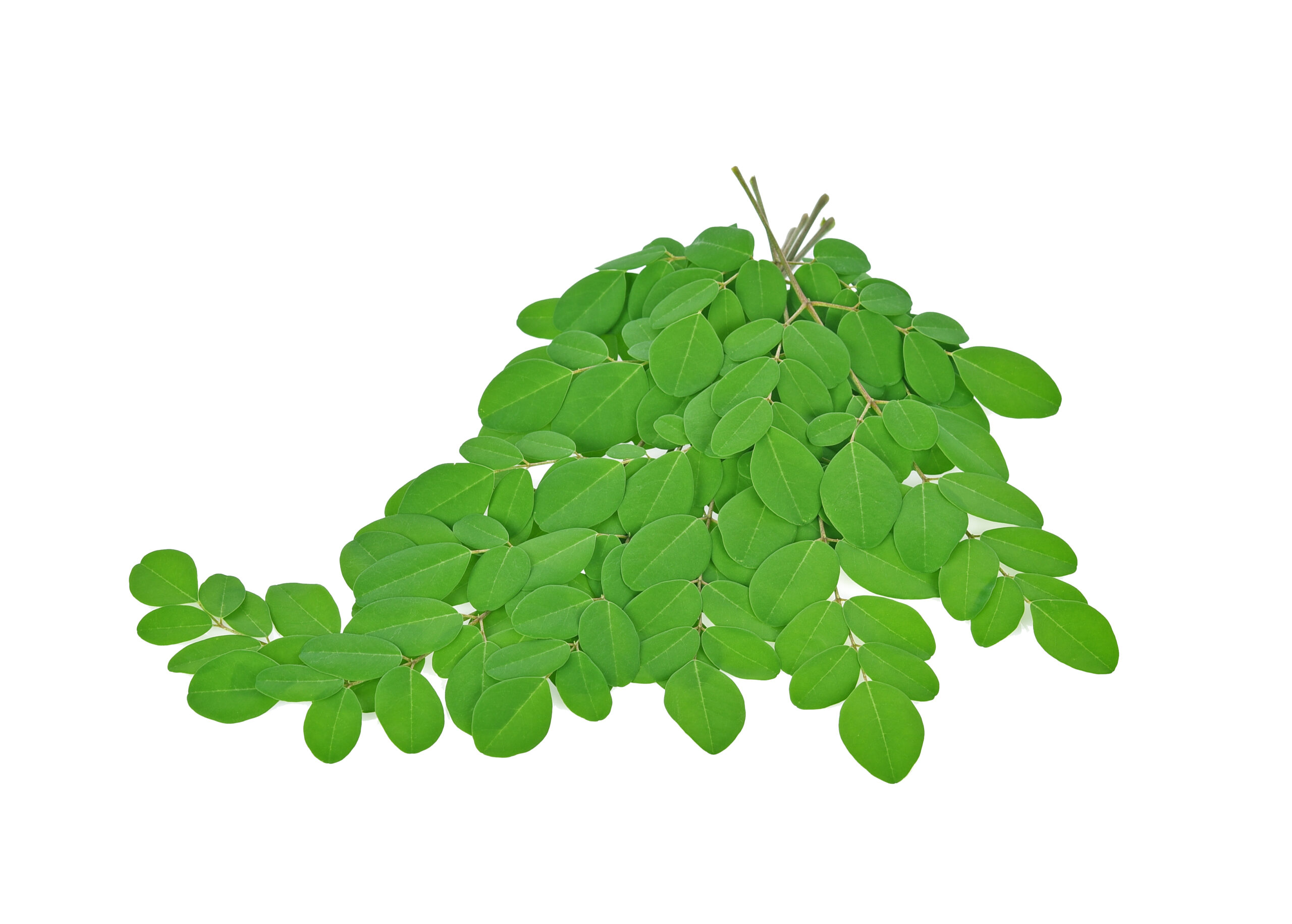 Moringa