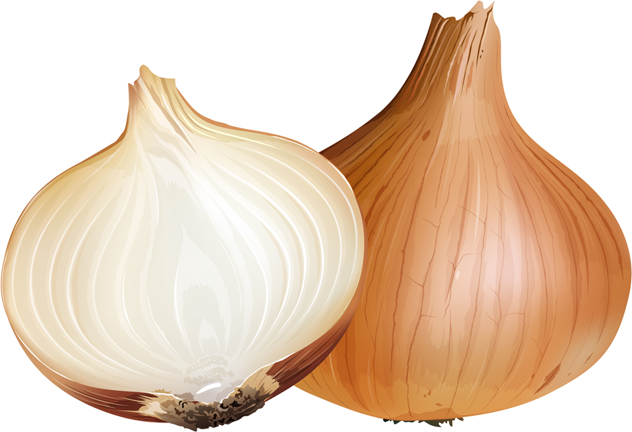 Onion